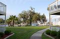 348. homosassa